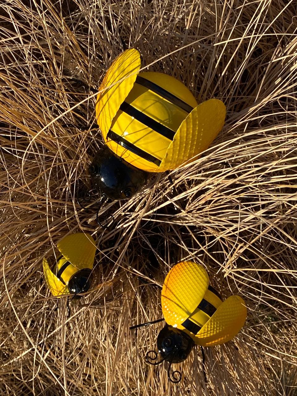 "Biene" groß "Biene" groß